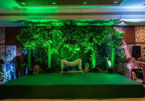 Jungle 14
